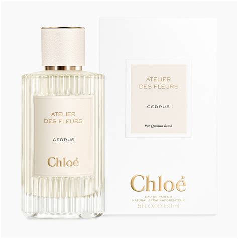 chloe cedrus parfum|cedrus by chloe.